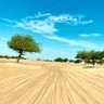 رعود المزن 🇴🇲🌹🇸🇦 的头像