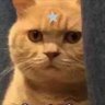 Profilbild von Vitoria