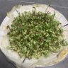 睡不着的故事 的头像