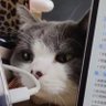 lee's profile picture