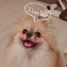 しもみ 的头像
