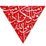 اسامه محمد عمار 🇪🇬🇵🇸's profile picture