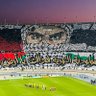 Profilbild von Sofiane Racim