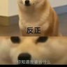 啊哈哈哈我就看 profil fotoğrafı