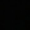 た's profile picture