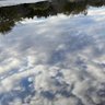 やきりんご。 profil fotoğrafı