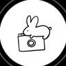 Profilbild von bunny.photo 🐰 *ੈ✩‧₊˚