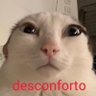 Profilbild von bruaca triste