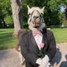 Profilbild von Real mimi