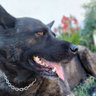 Nacho Nores🧉 profil fotoğrafı