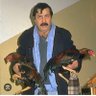 Dağhan 的头像