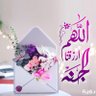 🌸🌸's profile picture