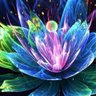 Фото профиля BernaG