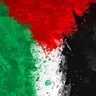 Viva Palestina profil fotoğrafı