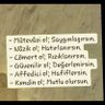 🧎🧗 yürekli insanlar 的头像