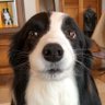 Profilbild von Yo opino