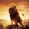 KingAslan48's profile picture