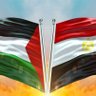 Profilbild von Mostafa #IStandWithPalestine 🇪🇬🇵🇸🇿🇦