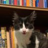Juanma profil fotoğrafı