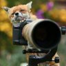 Фото профиля stevefoxwick