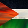 Mahmoud Al-khatib's profile picture