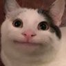 かふぇいん's profile picture