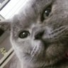 peetuull profil fotoğrafı
