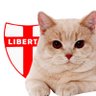 henryt ✝️🇻🇦🇺🇸's profile picture
