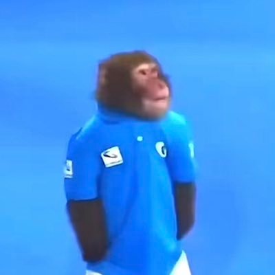 slxpe's profile picture