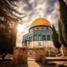 Фото профиля ريح الكادي