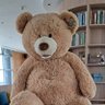 Фото профиля robbie ロビー 🐻