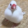 なーこ🦩's profile picture