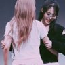 moomooSWFS 的头像