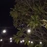 Pik 的头像