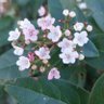 Фото профиля DP.138.