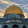 ابوعلي's profile picture