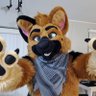 Ace shepherd's profile picture