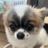 Bubble's profile picture