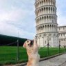 Profilbild von ❣️🐱Tina🐶❣️(PRIVÈ)