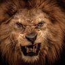 Profilbild von "Lionheart" Rich