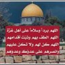 Фото профиля Amal Zoubid