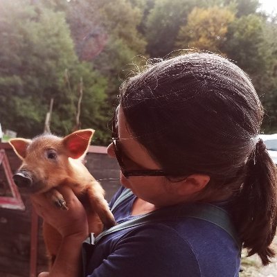 KokotKatja's profile picture