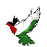 Фото профиля ♣️🇸🇩بلوتو