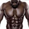 Profilbild von Black_fury