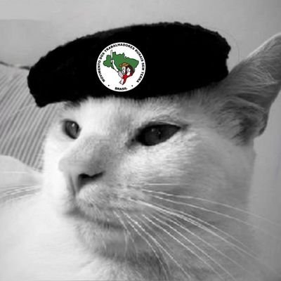 viccommie's profile picture