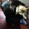 totovelez's profile picture