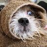 Profilbild von Bb.Bee