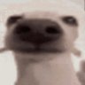 JD Slaps's profile picture