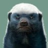 Profilbild von PueblerinoMan