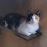 Ludmilo profil fotoğrafı